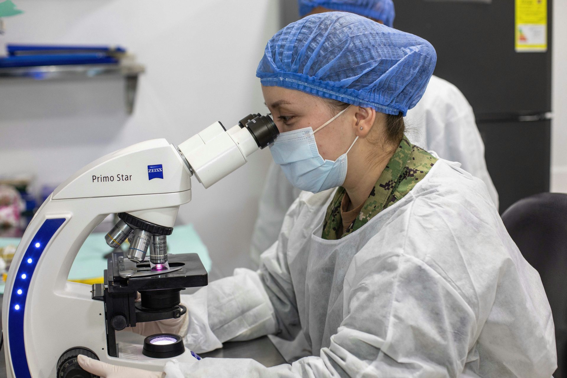Scientist looks through a microscope in a laboratory.